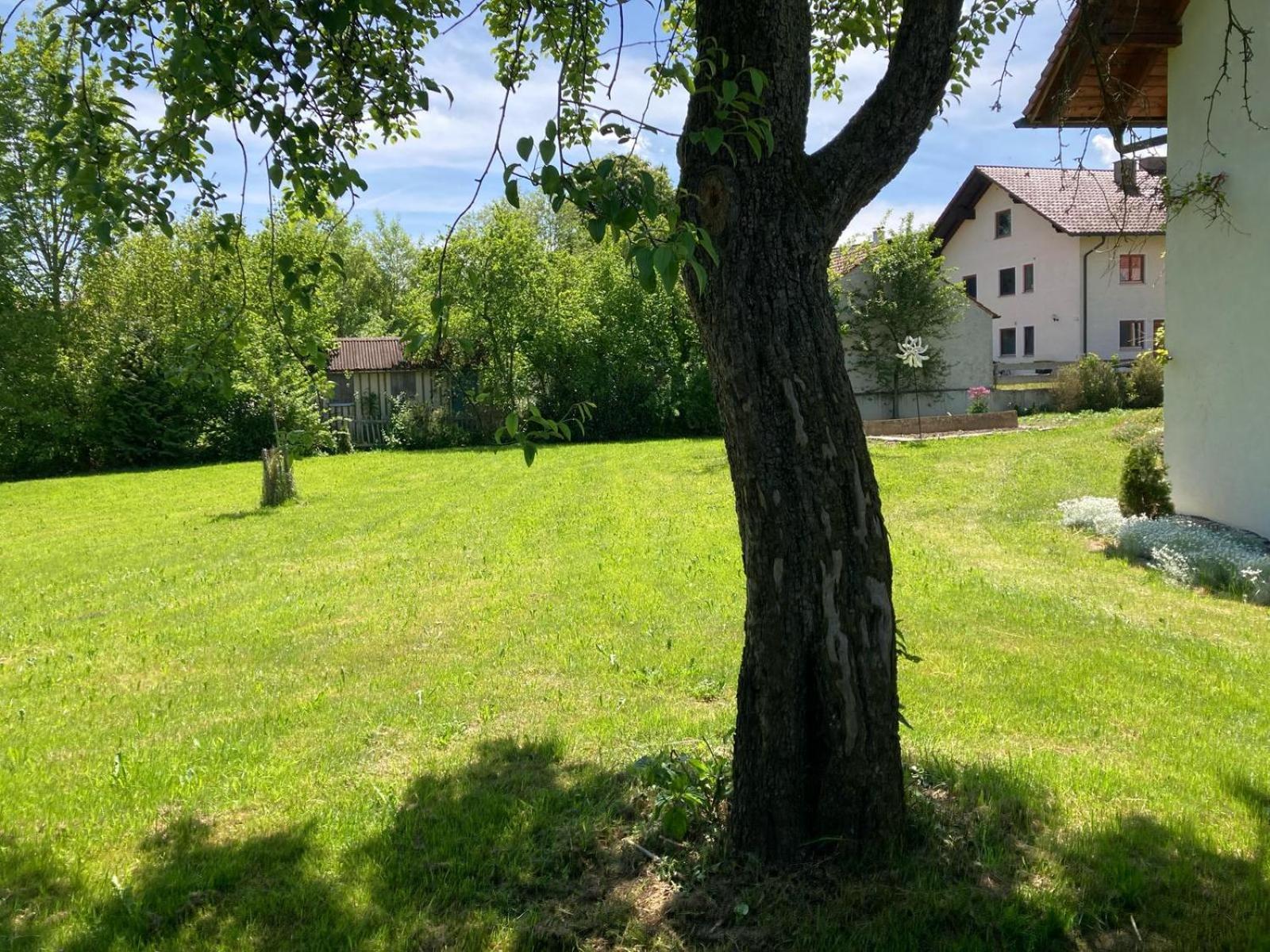 Ruhige Ferienwohnung Inklusive Garten Souterrain - Neu Renoviert Lachen Esterno foto